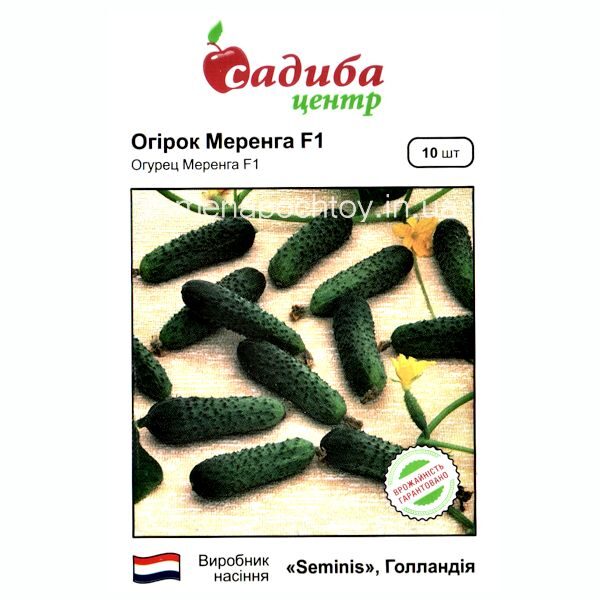 Огурец МЕРЕНГА F1