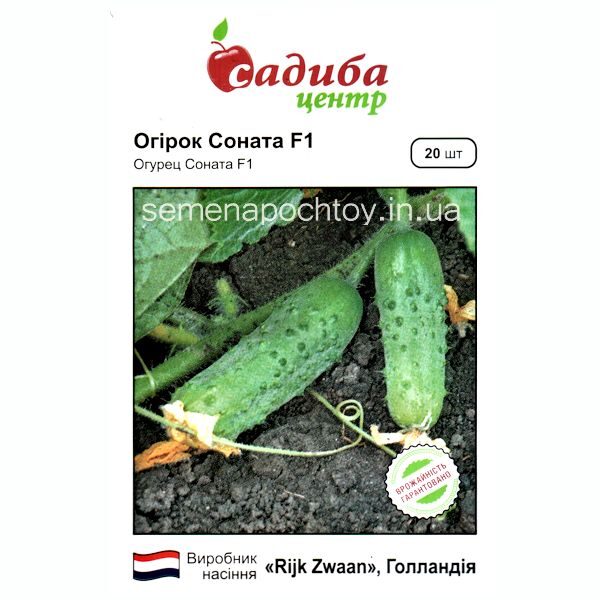 Огурец СОНАТА F1 RIJK ZVAAN ЭКОНОМНЫЙ 20 семян Огурец СОНАТА F1