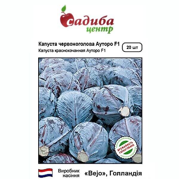 Капуста АУТОРО F1 BEJO ZADEN КРАСНОКАЧАННАЯ 20 семян Капуста АУТОРО F1