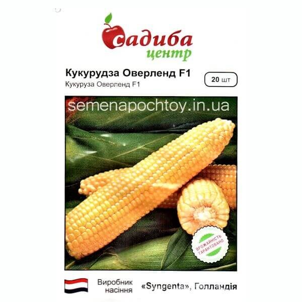 Кукуруза ОВЕРЛЕНД F1 SYNGENTA СВЕРХСЛАДКАЯ 20 семян Кукуруза ОВЕРЛЕНД F1