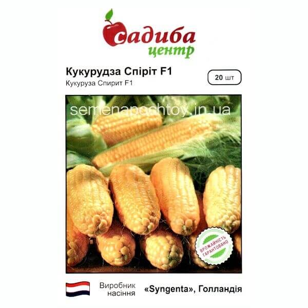 Кукуруза СПИРИТ F1