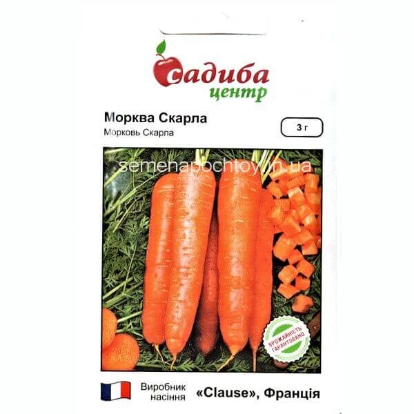 Морковь СКАРЛА CLAUSE ПОЗДНЯЯ 3 грамма Морковь СКАРЛА