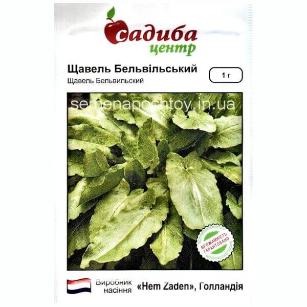 Щавель БЕЛЬВИЙСКИЙ