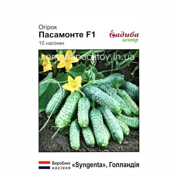 Огурец ПАСАМОНТЕ F1 SYNGENTA КОРНИШОН 10 семян Огурец ПАСАМОНТЕ F1