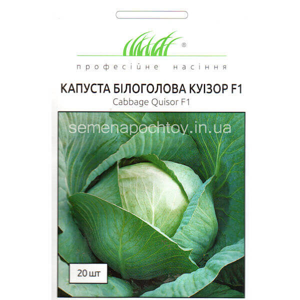 Капуста КУИЗОР F1 SYNGENTA СРЕДНЕРАННЯЯ 20 семян Капуста КУИЗОР F1