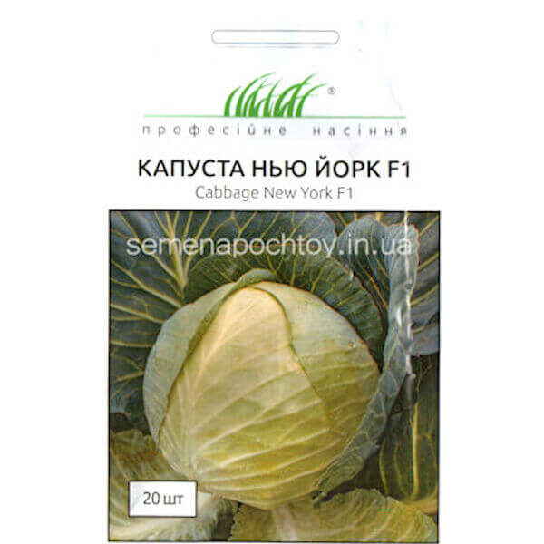 Капуста НЬЮ ЙОРК F1