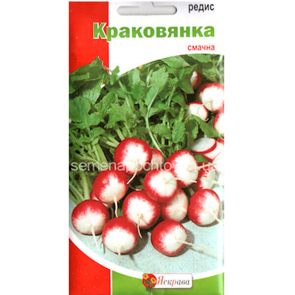 Редис КРАКОВЯНКА ТМ ЯСКРАВА ХОЛОДОСТОЙКИЙ 3 грамма Редис КРАКОВЯНКА