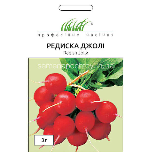 Редиса ДЖОЛЛИ
