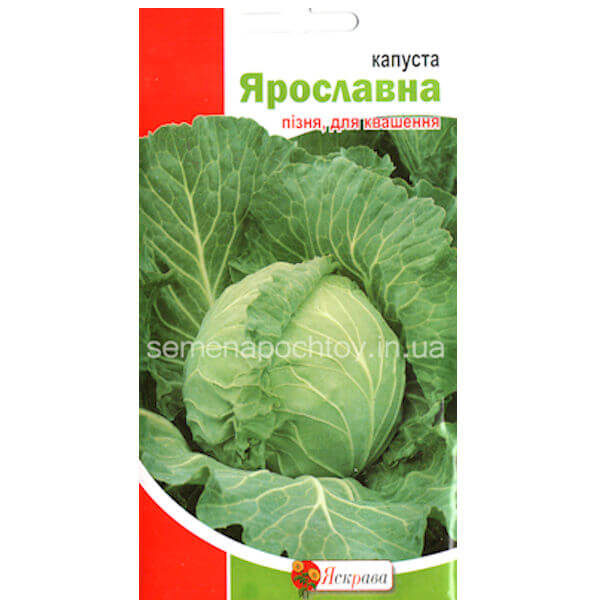 Капуста ЯРОСЛАВНА ТМ ЯСКРАВА ДЛЯ КВАШЕНИЯ 0.5 грамм Семена Капуста ЯРОСЛАВНА