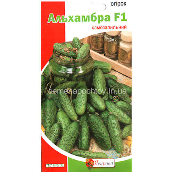 Огурец АЛЬХАМБРА F1