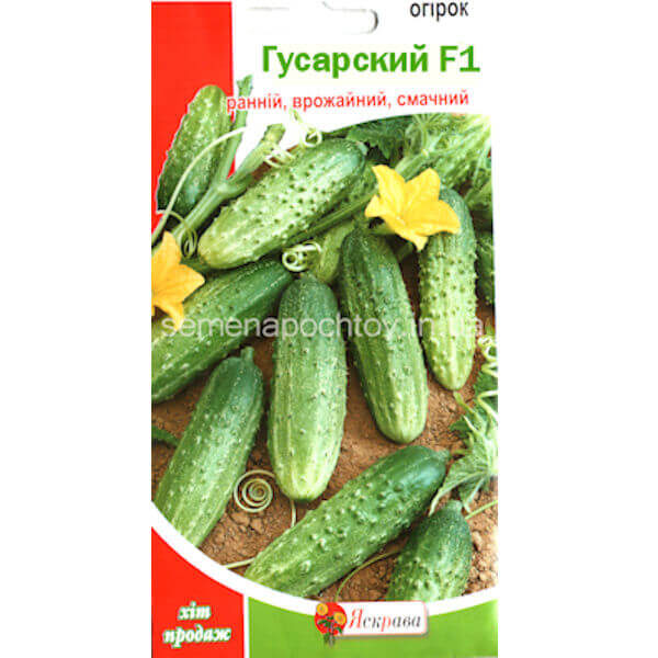 Огурец ГУСАРСКИЙ F1