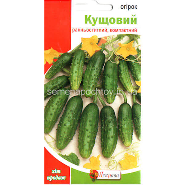 Огурец КУСТОВОЙ ТМ ЯСКРАВА УРОЖАЙНЫЙ 1 грамм Огурец КУСТОВОЙ