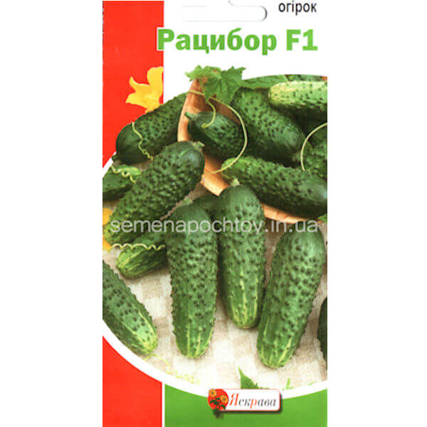 Огурец РАЦИБОР F1