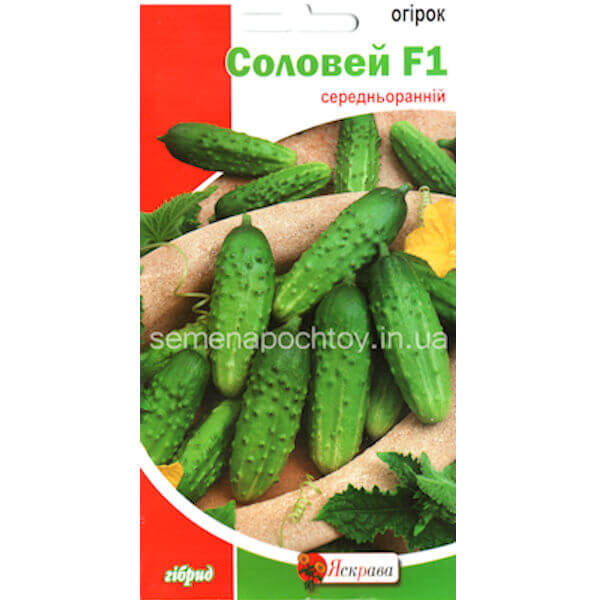 Огурец СОЛОВЕЙ F1