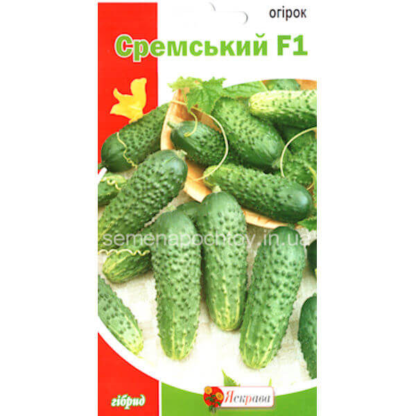 Огурец СРЕМСКИЙ F1