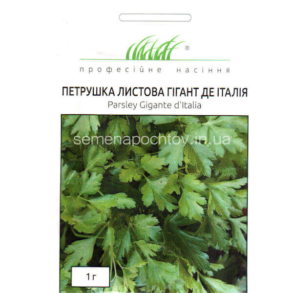 Петрушка ГИГАНТ ДЕ ИТАЛИЯ TEZIER КРУПНОЛИСТОВАЯ 1 грамм Петрушка листовая ГИГАНТ ДЕ ИТАЛИЯ