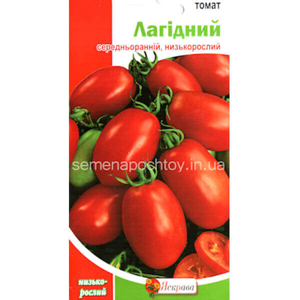 Помидор ЛАСКОВЫЙ