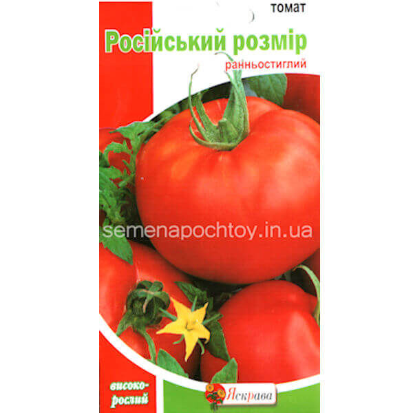 Помидор РУССКИЙ РАЗМЕР