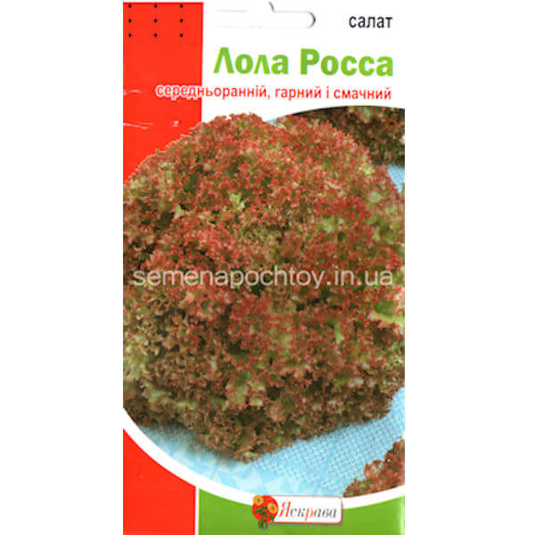 Салат ЛОЛЛО РОССА Салат ЛОЛЛО РОССА