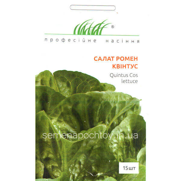 Салат РОМЕН КВИНТУС