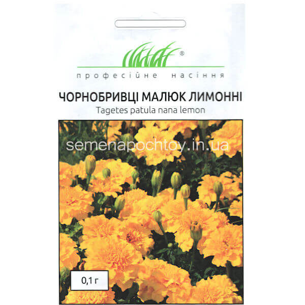 Бархатцы МАЛЫШ ЛИМОННЫЙ
