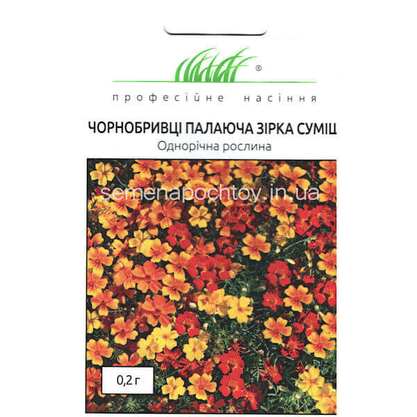 Бархатцы ПЫЛАЮЩАЯ ЗВЕЗДА
