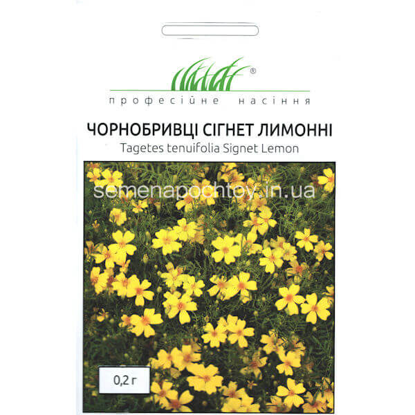 Бархатцы СИГНЕТ ЛИМОННЫЕ