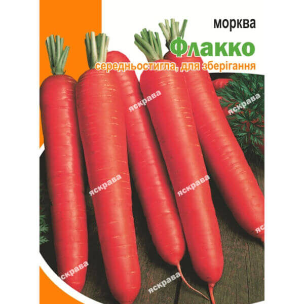 Морковь Флакко
