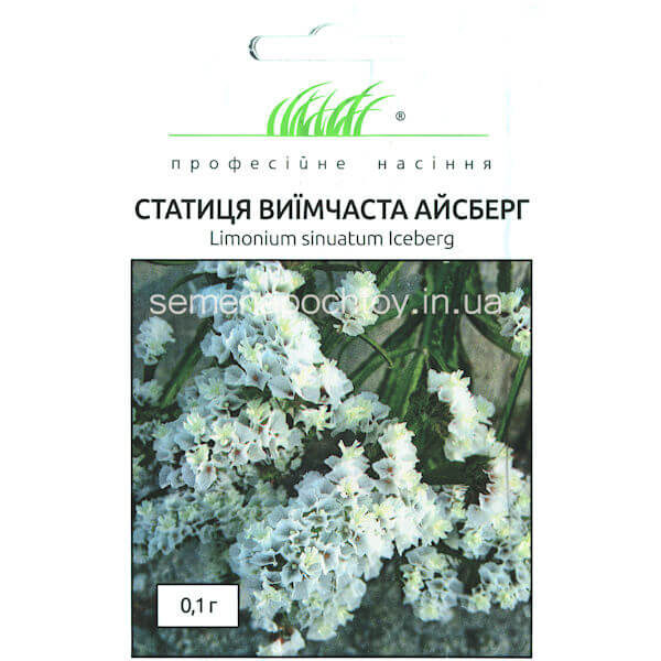 Статица выемчатая АЙСБЕРГ HEM ZADEN 0,1 грамм Статица выемчатая АЙСБЕРГ