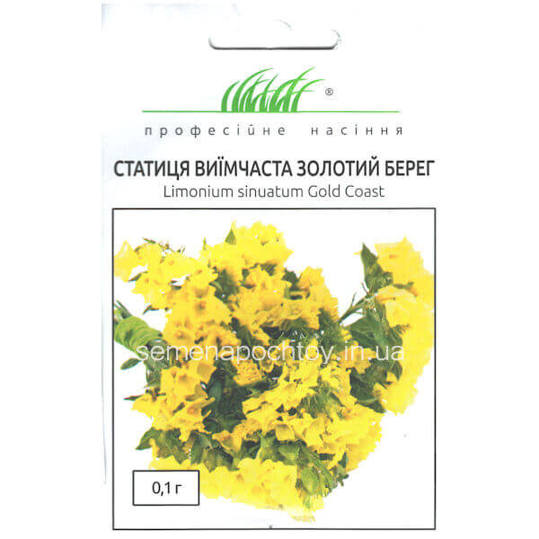 Статица выемчатая ЗОЛОТОЙ БЕРЕГ HEM ZADEN 0,1 грамм Статица выемчатая ЗОЛОТОЙ БЕРЕГ HEM ZADEN