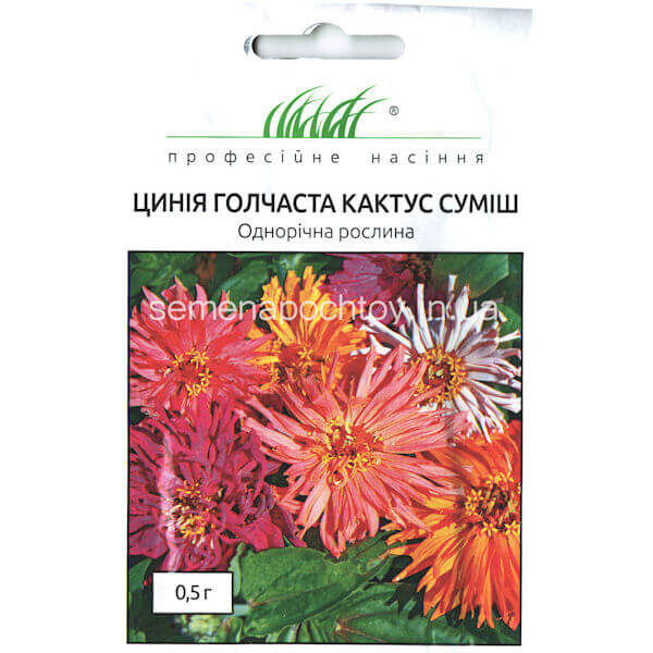 Циния игольчатая КАКТУС СМЕСЬ