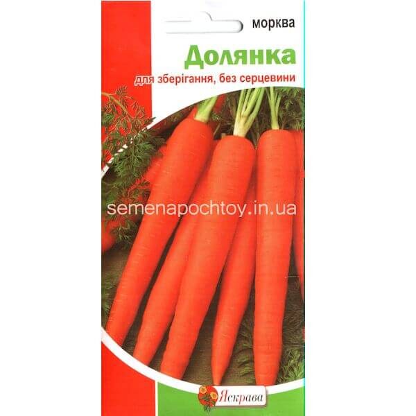 Морковь ДОЛЯНКА 2