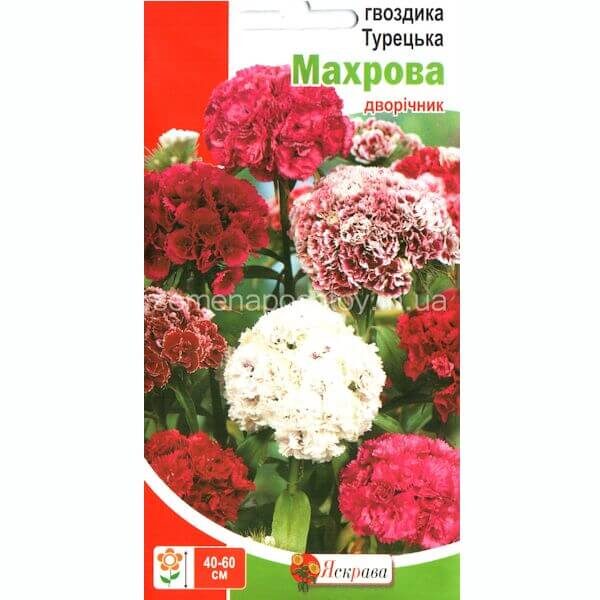 Гвоздика турецкая МАХРОВАЯ ЯСКРАВА 0,5 граммов Гвоздика турецкая МАХРОВАЯ