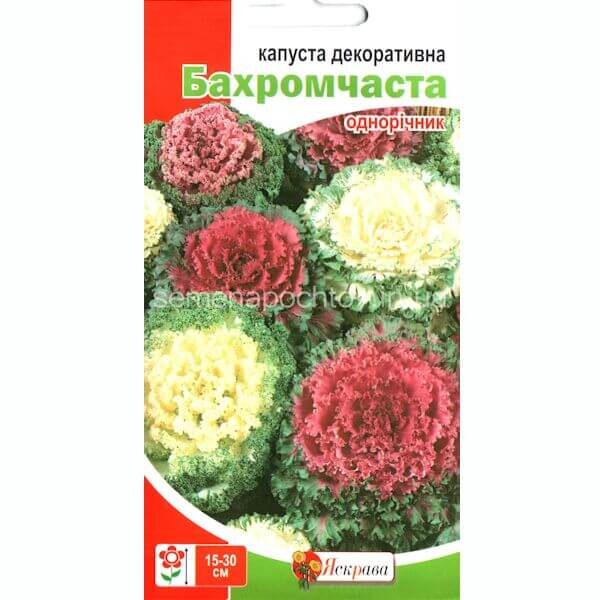 Капуста декоративная БАХРОМЧАТАЯ ЯСКРАВА 0,2 грамма Капуста декоративная БАРХАТНАЯ