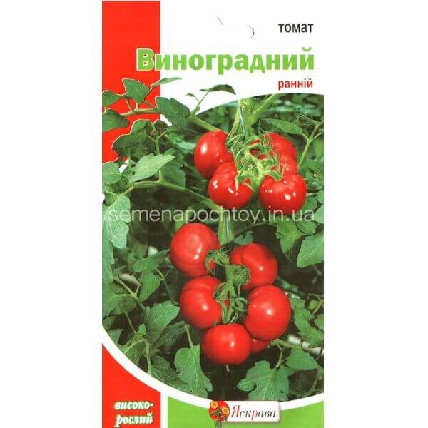 Помидор ВИНОГРАДНЫЙ