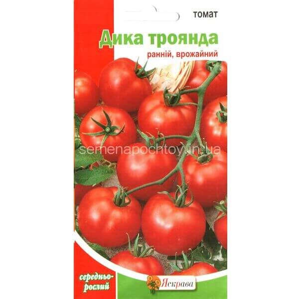 Помидор ДИКАЯ РОЗА
