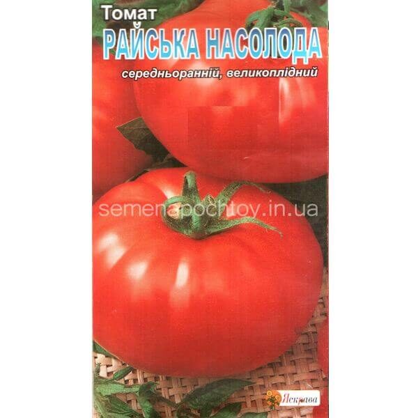 Помидор РАЙСКОЕ НАСЛАЖДЕНИЕ