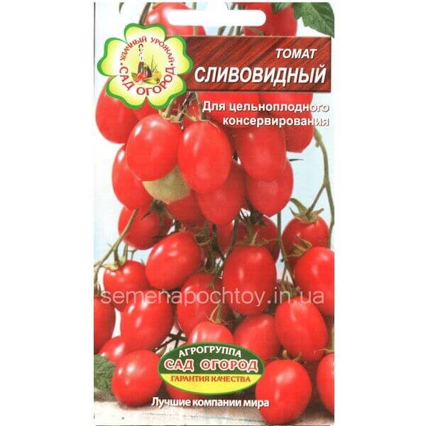 Помидор СЛИВОВИДНЫЙ