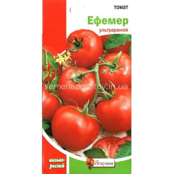 Помидор ЭФЕМЕР