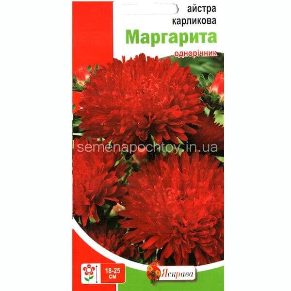 Астра карликовая МАРГАРИТА ТМ ЯСКРАВА 0.3 грамма Астра карликовая МАРГАРИТА