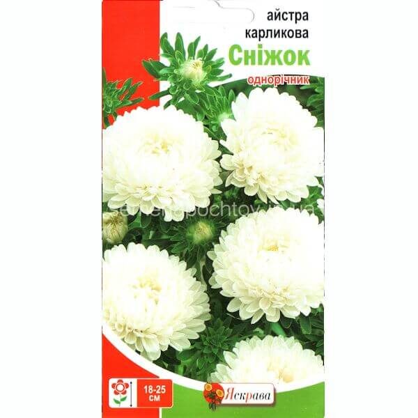 Астра карликовая СНЕЖОК ТМ ЯСКРАВА 0.3 грамма Астра карликовая СНЕЖОК