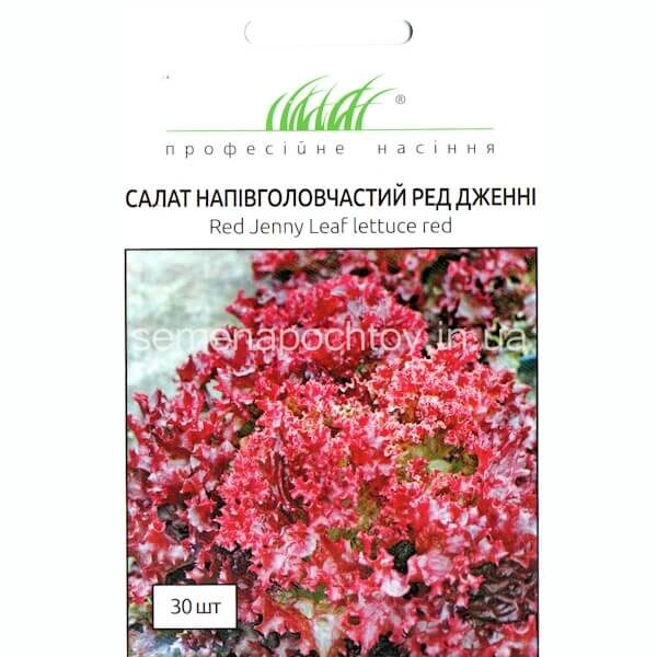 Салат РЕД ДЖЕННИ WING SEED ХРУСТЯЩИЙ 30 семян Салат РЕД ДЖЕННИ