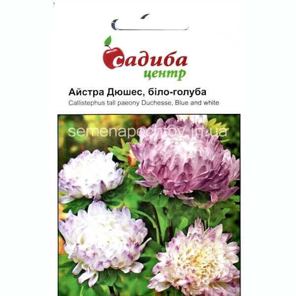 Астра ДЮШЕС БЕЛО-ГОЛУБАЯ HEM ZADEN 0,2 грамма Астра ДЮШЕС БЕЛО-ГОЛУБАЯ