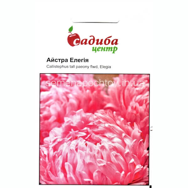 Астра ЭЛЕГИЯ ЯРКО-РОЗОВАЯ HEM ZADEN 0,2 грамма Астра ЭЛЕГИЯ ЯРКО-РОЗОВАЯ