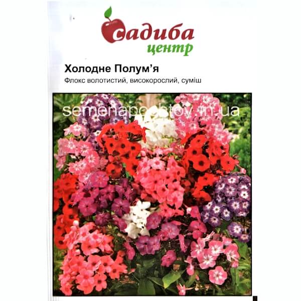 Флокс метельчатый ХОЛОДНОЕ ПЛАМЯ СМЕСЬ Флокс метельчатый ХОЛОДНОЕ ПЛАМЯ СМЕСЬ