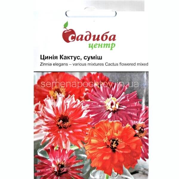 Цинния КАКТУС СМЕСЬ