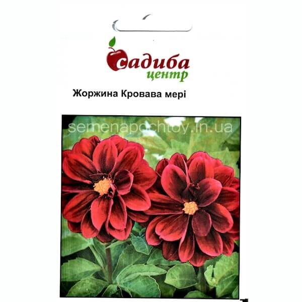 Георгины КРОВАВАЯ МЭРИ HEM ZADEN 0,1 грамм Георгины КРОВАВАЯ МЭРИ