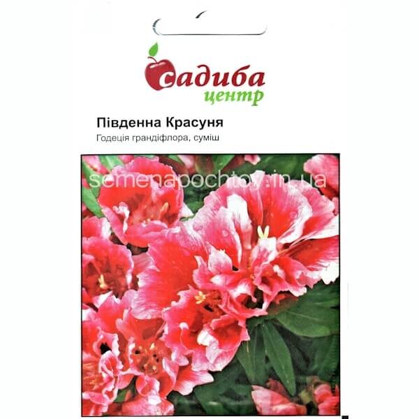 Годеция грандифлора ЮЖНАЯ КРАСАВИЦА