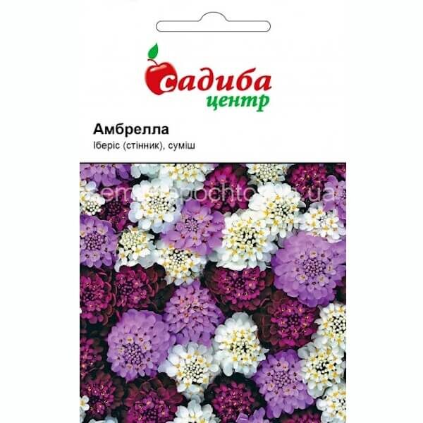 Иберис АМБРЕЛЛА HEM ZADEN 0,5 граммов Иберис АМБРЕЛЛА