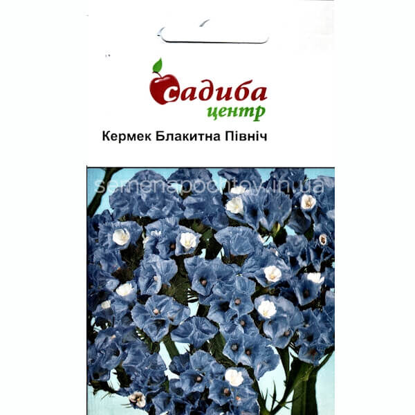 Кермек ГОЛУБОЙ СЕВЕР HEM ZADEN 0,1 грамм Кермек ГОЛУБОЙ СЕВЕР